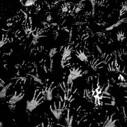 Northumbria : Black Sea of Trees